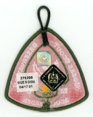 Horace A Moses Scout Reservation A87