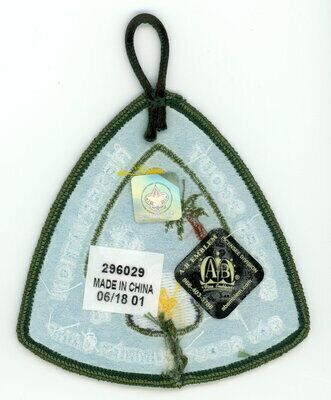 Horace A Moses Scout Reservation A98