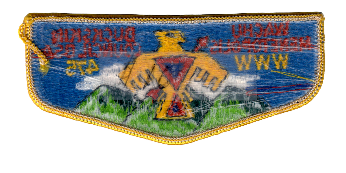 Wachu Menetopolis S5b (back)