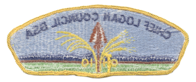Chief Logan S-1a