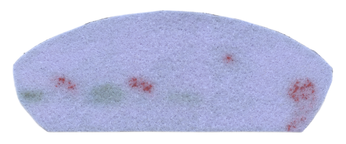 Forest Lakes TA-3 (back)