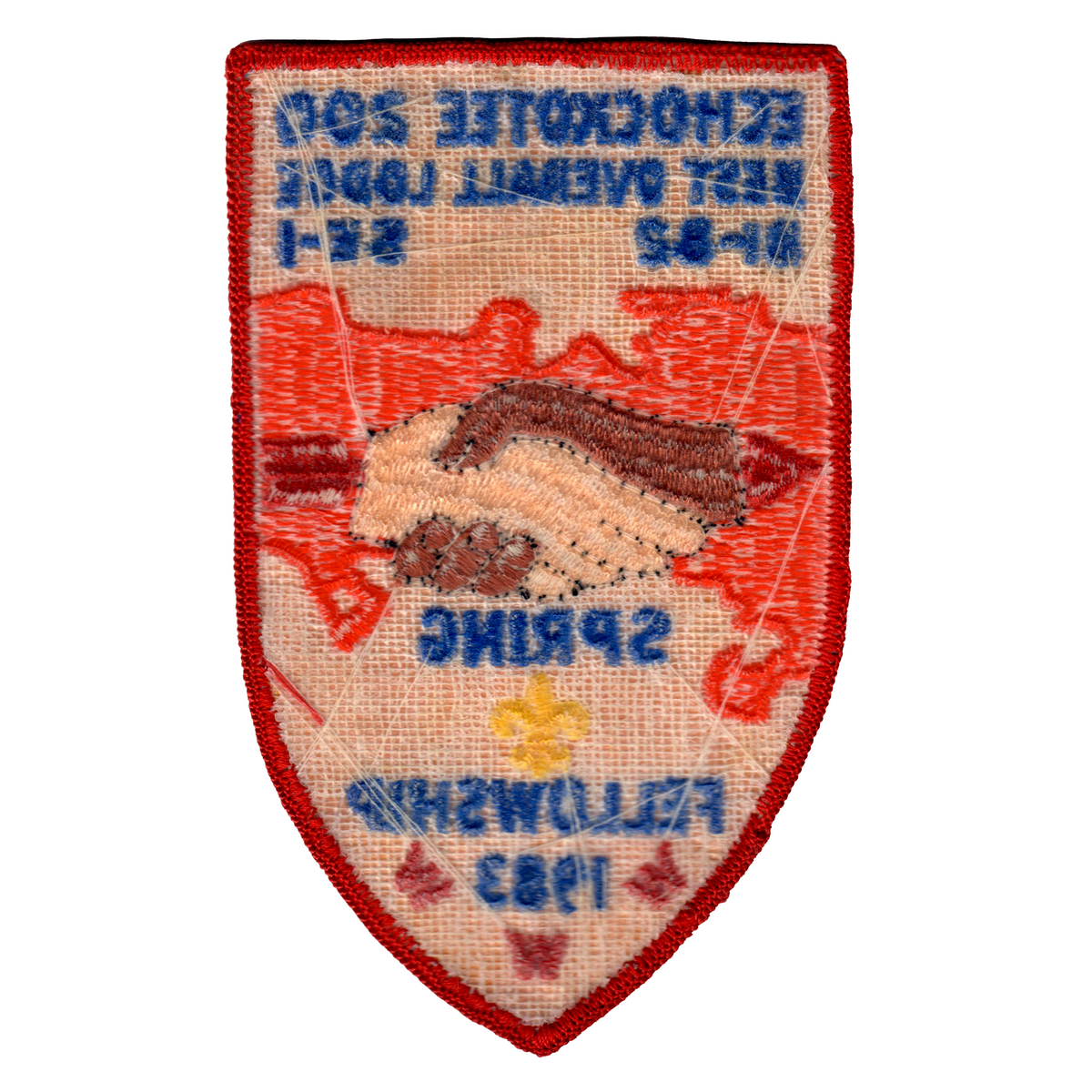 Echockotee eX1983-2 (back)