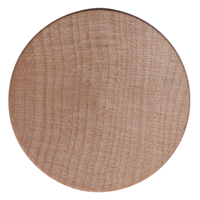 Camp Royaneh eCOIN2015 (back)