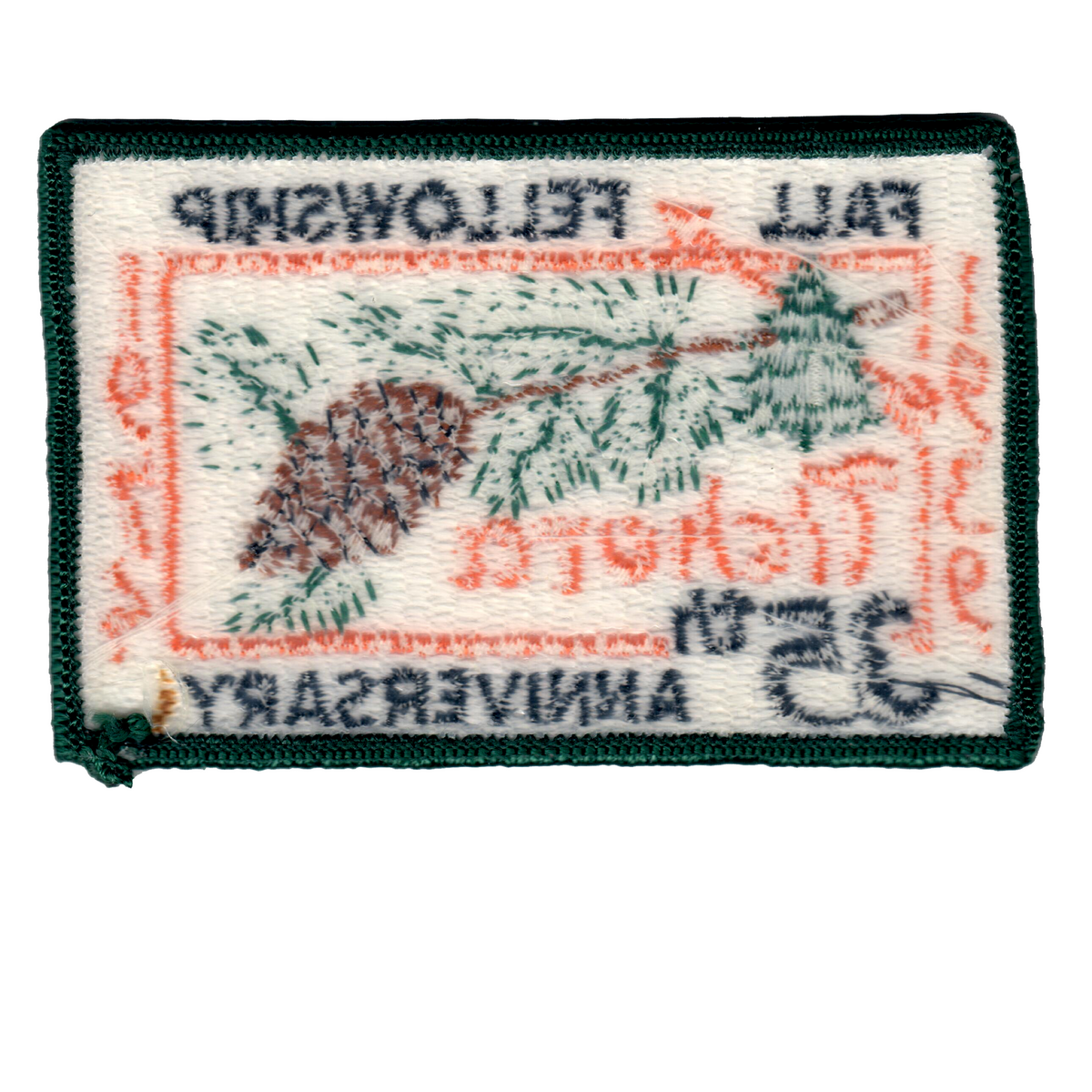 Tichora eX1974-2 (back)