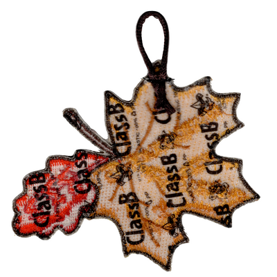 Mahicantuck  eX2025-4