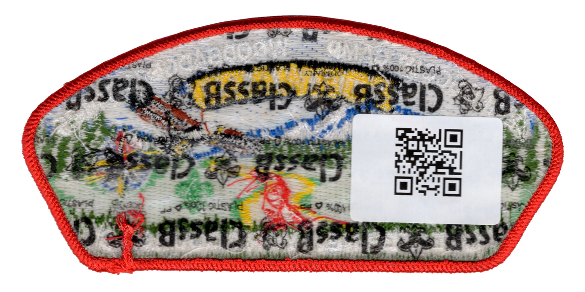 Greater New York Councils SA-341 (back)