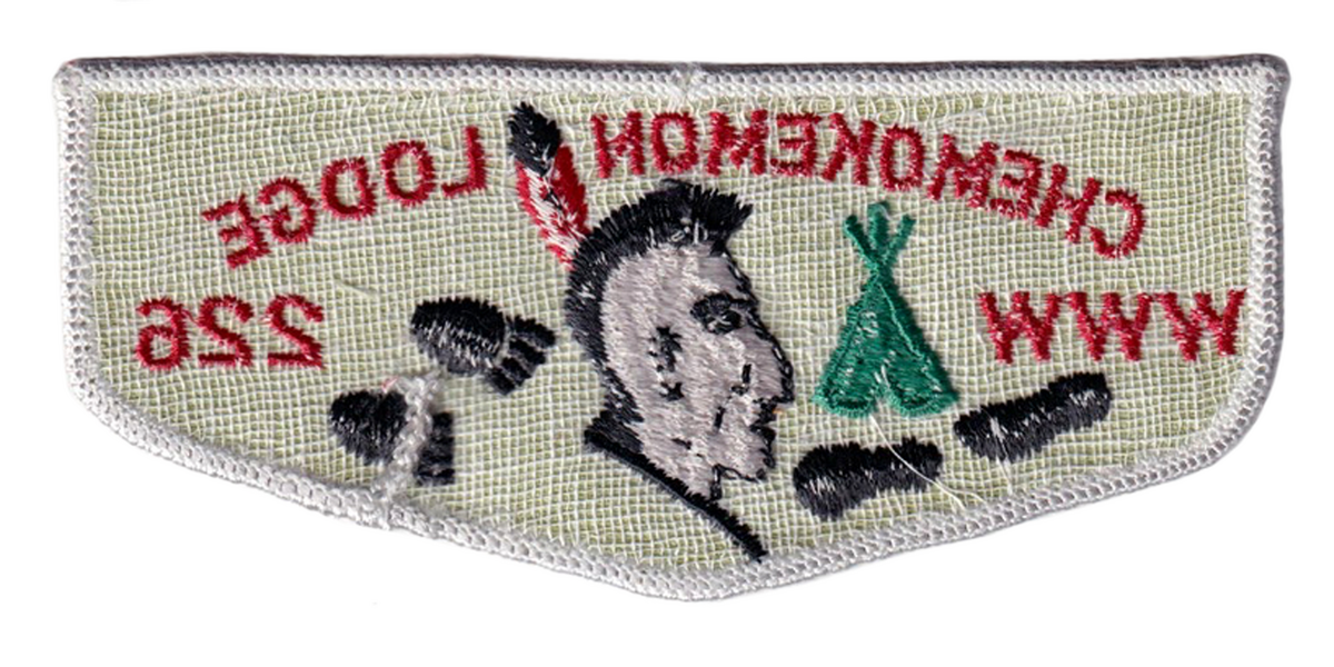 Chemokemon F1a (back)