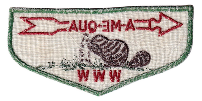 A-Me-Qua F1 (back)