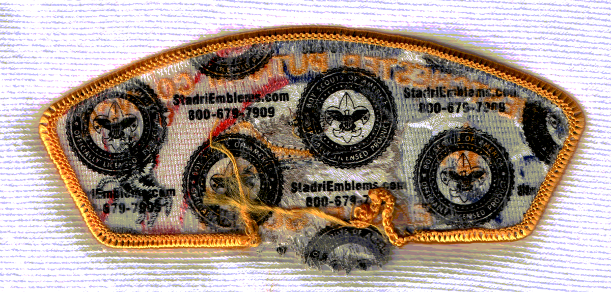 Westchester Putnam SA-19 (back)