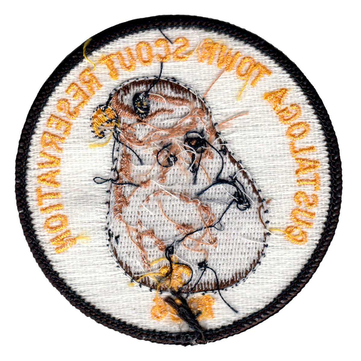 Custaloga Town Scout Reservation eR1996-1 (back)