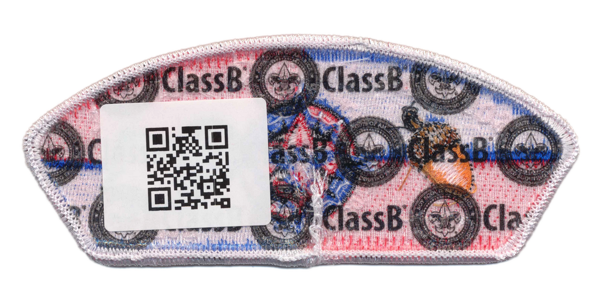 Colonial Virginia SA-61 (back)