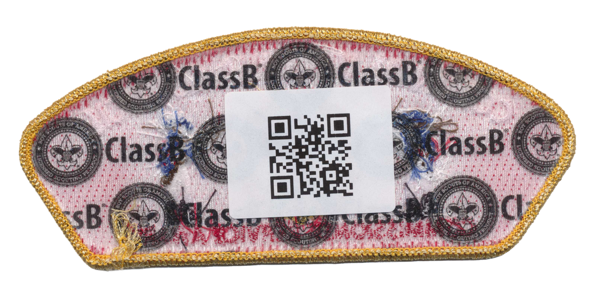 Colonial Virginia SA-53 (back)