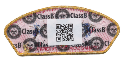 Colonial Virginia SA-53 (back)