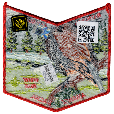 Amangi Nacha X90 (back)