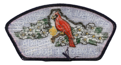 Peninsula SA-1:1 (back)