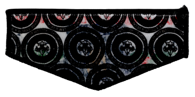 Nacha Nimat S41 (back)