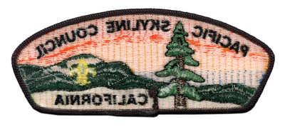 Pacific Skyline S-1b (back)