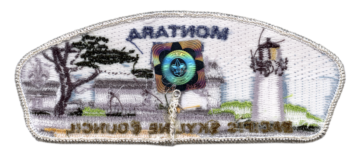 Pacific Skyline SA-22 (back)