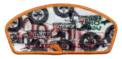 Pacific Skyline SA-31 (back)