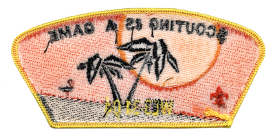 Pacific Skyline SA-7 (back)