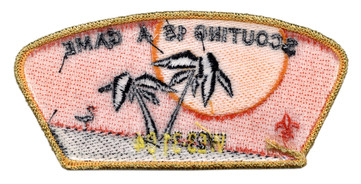 Pacific Skyline SA-8 (back)