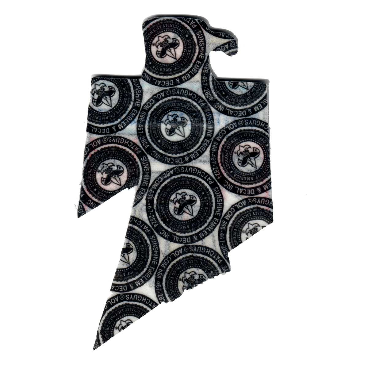 Kickapoo eX2009-1 (back)