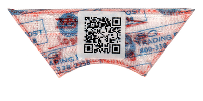 Kiskakon eX2015-2 (back)