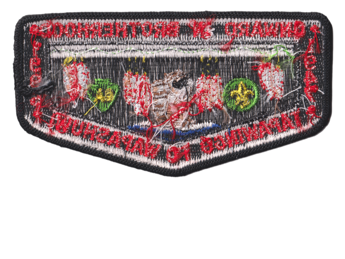 Tapawingo S15b (back)