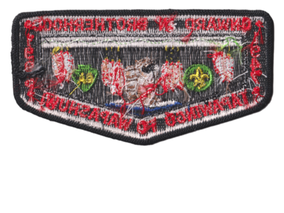 Tapawingo S15b (back)