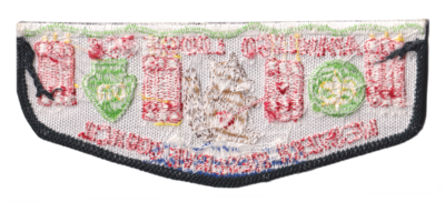 Tapawingo YS1 (back)