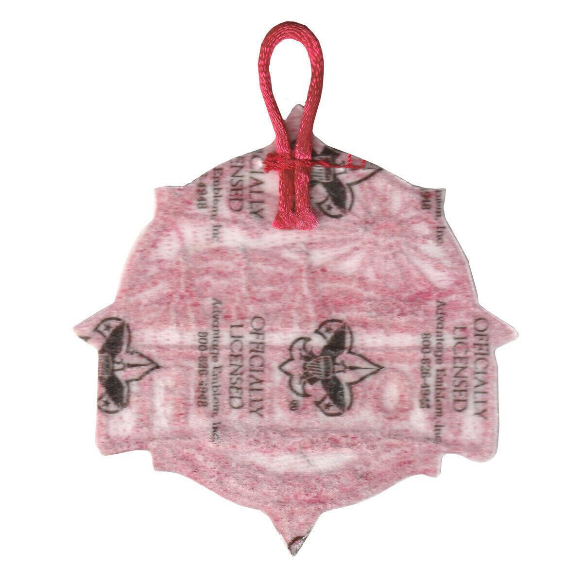 Woodruff Scout Reservation eX2025-4 (back)