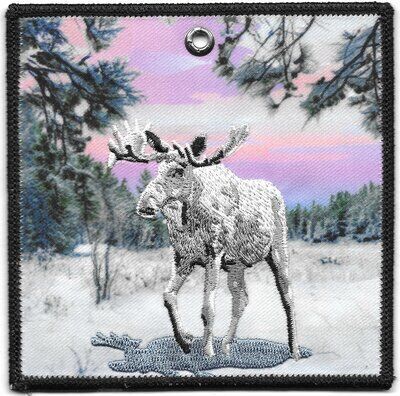 Totanhan Nakaha  X33 (back)