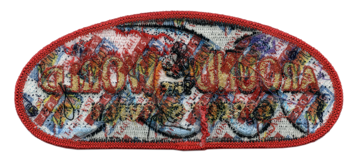 Direct Service S-2a (back)