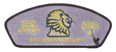 Direct Service T-202 (back)