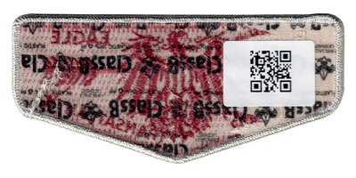 Black Eagle S273 (back)