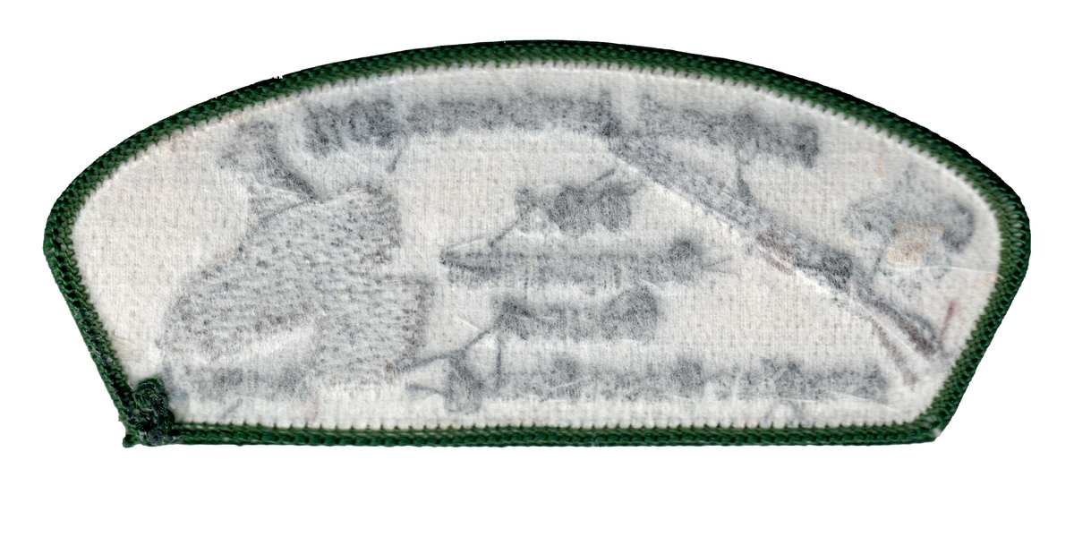 Chief Cornplanter JSP-2013-4 (back)