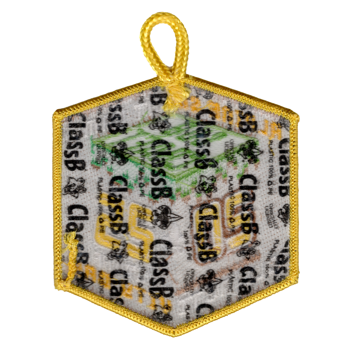 Alpine Scout Camp eX2025-2 (back)