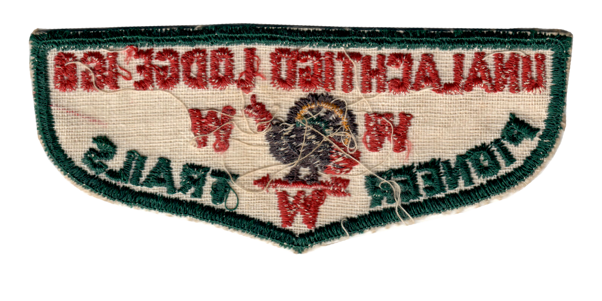 Unalachtigo F2a (back)
