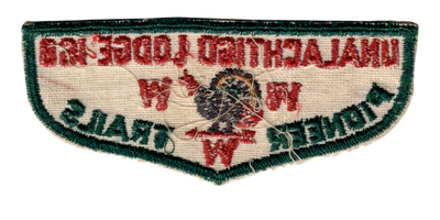 Unalachtigo F2a (back)