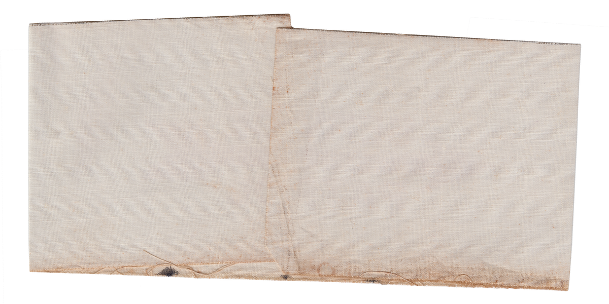 Delmont ARM1 (back)