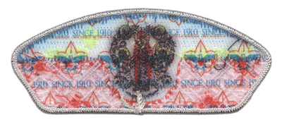 Direct Service SZ-803 (back)