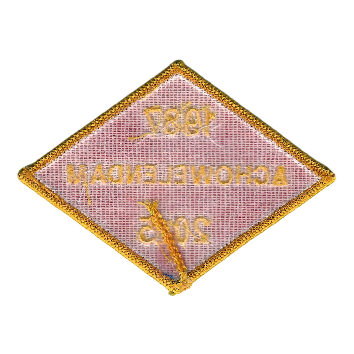 Achowelendam X14 (back)