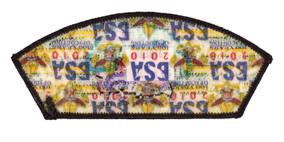 Occoneechee JSP-2010-9 (back)