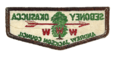 Sebooney Okasucca F1b (back)