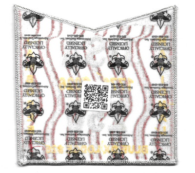Blue Ox X45 (back)