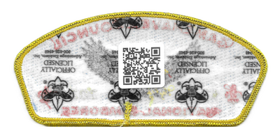 Blue Ox X46 (back)