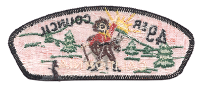 Forty Niner T-1 (back)