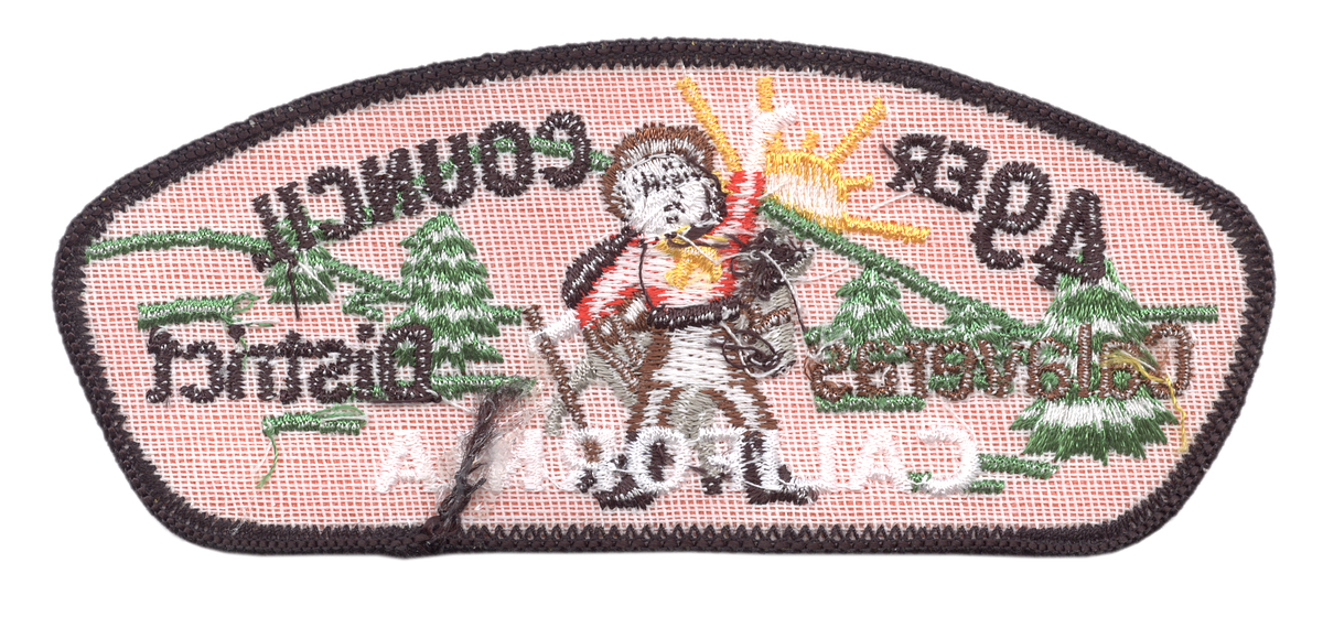 Forty Niner TA-10:1 (back)