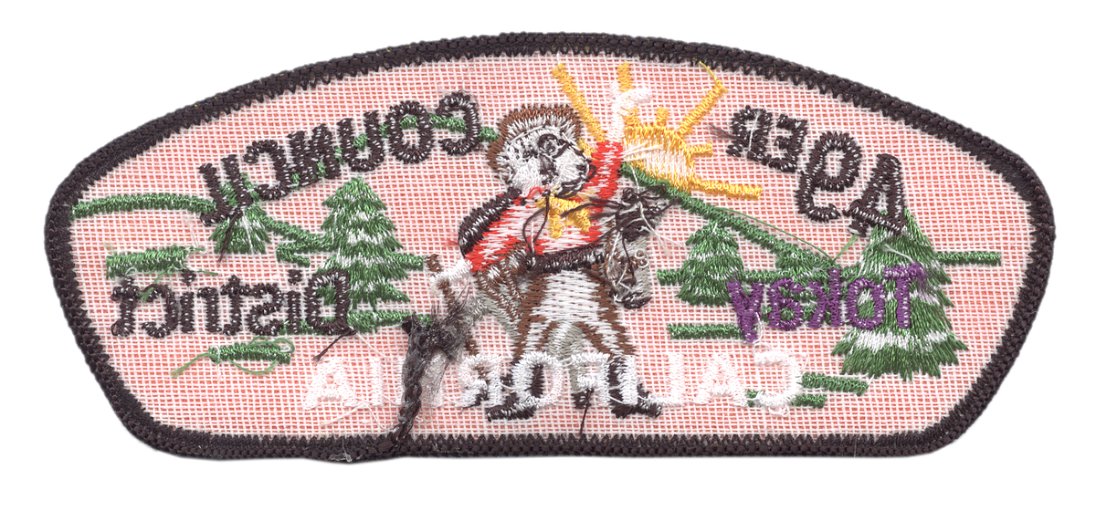 Forty Niner TA-10:5 (back)