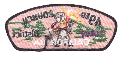 Forty Niner TA-10:5 (back)